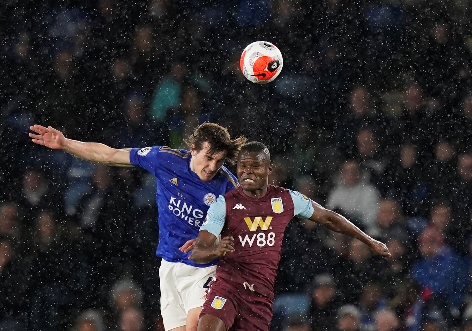 这不仅证明 这不仅证明